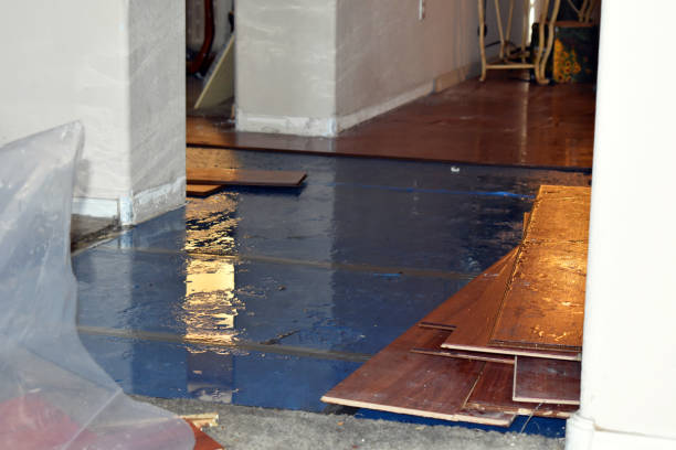Professional Water Damage technician working in Brainard, NY